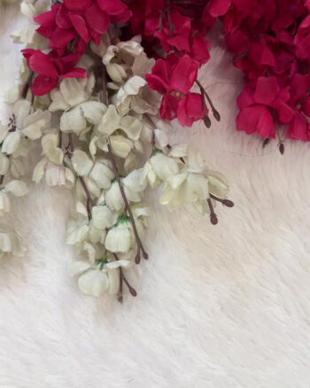 Khadi Viscose  Budget Border  Sarees